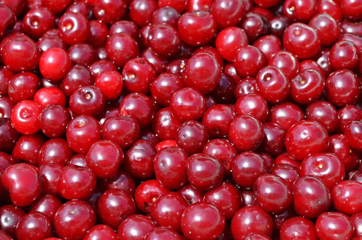 višne