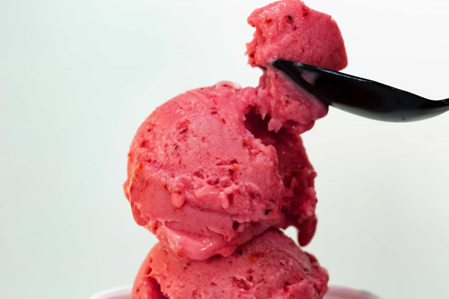 zmrzlina sorbet