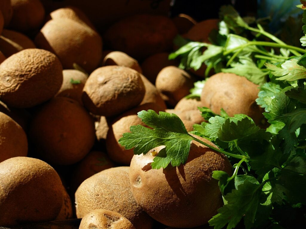 zelené zemiaky