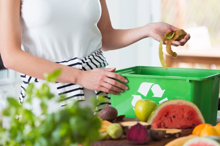 Food waste-odpad v kuchyni